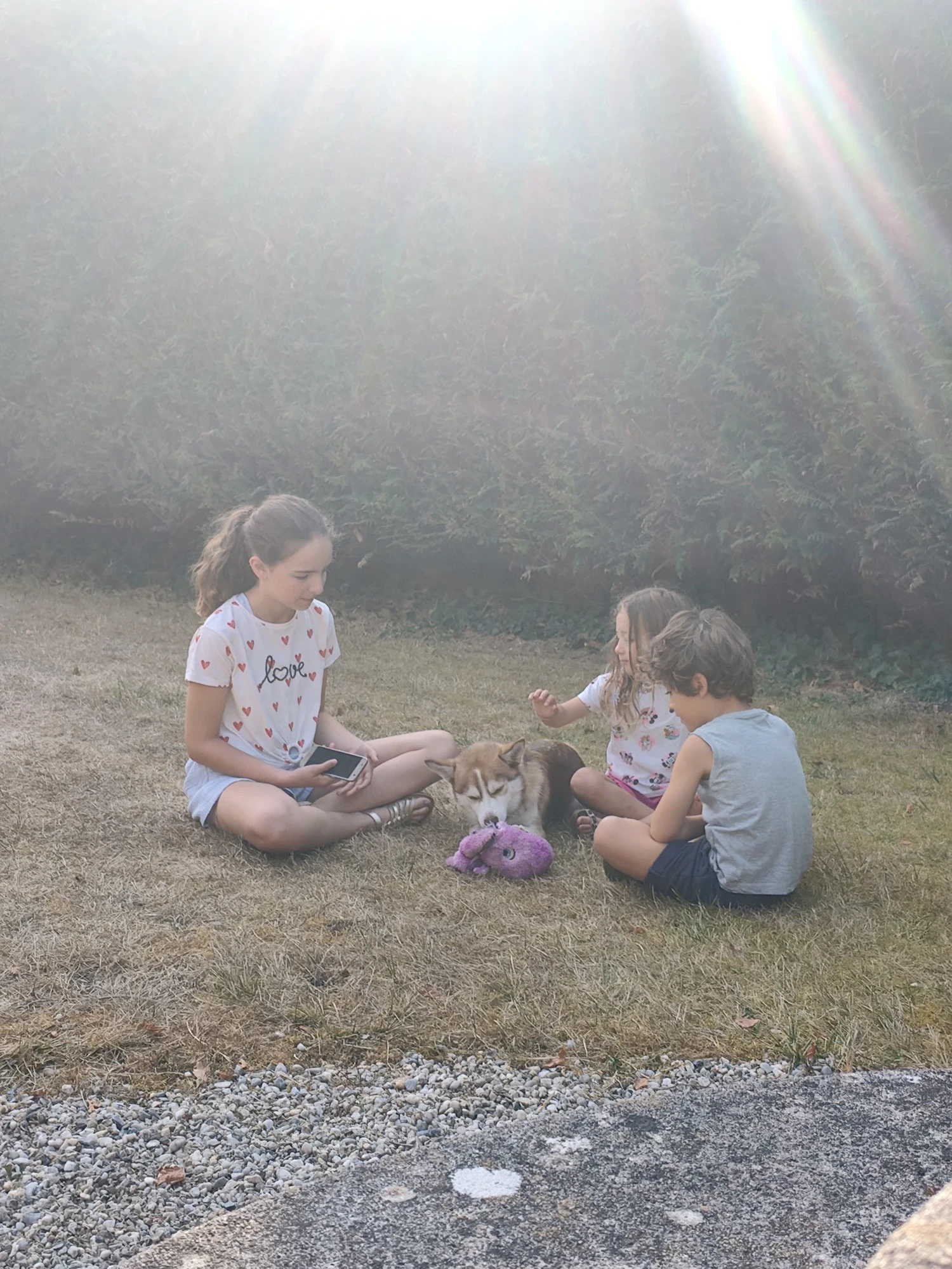 Trois enfants assis dans l'herbe avec Bueno, chien médiateur en formation