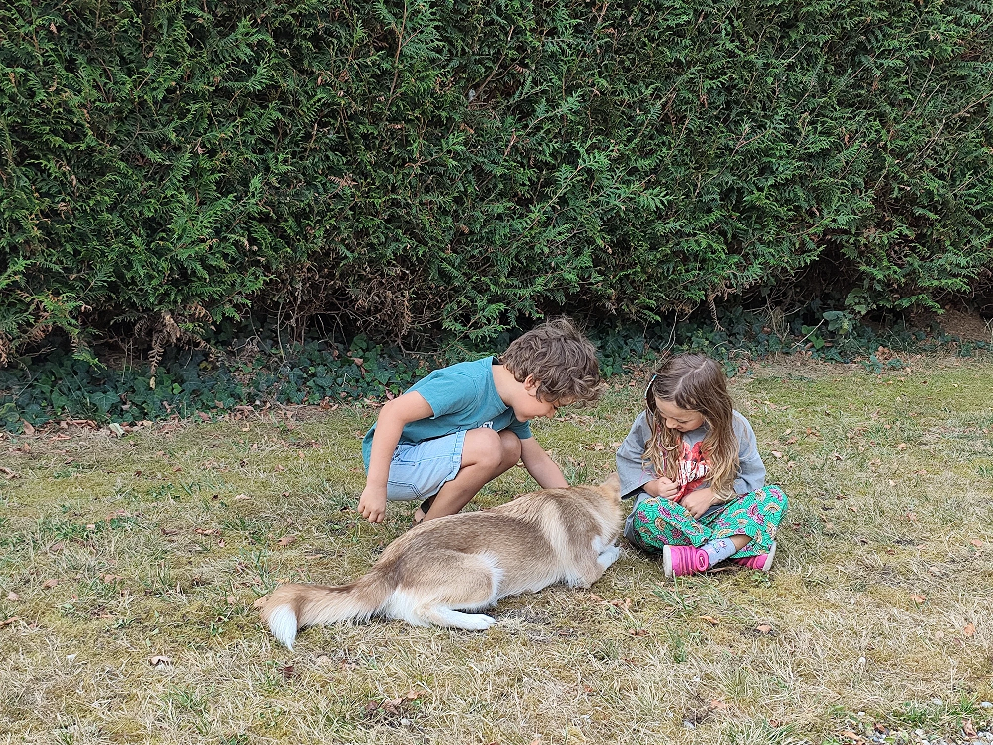Enfants jouant avec Bueno dans le jardin