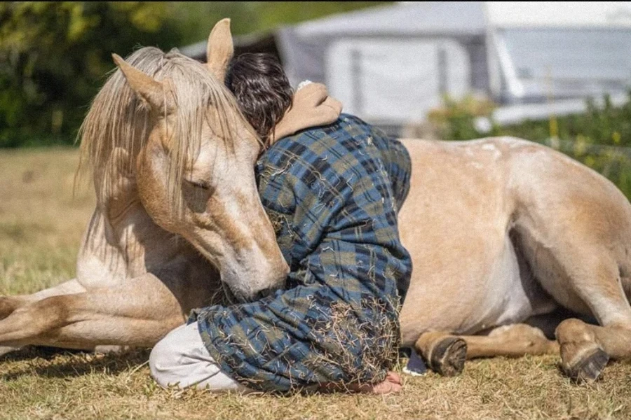Moment de complicité couché dans l'herbe avec Eden, le cheval