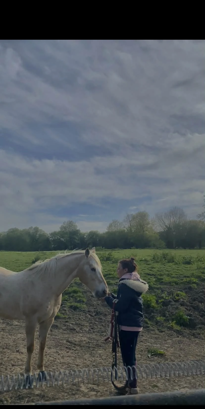 Eden, le cheval, au pré