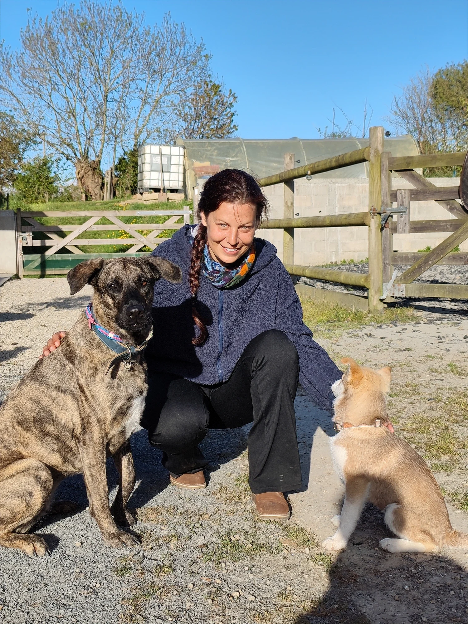 Sophie Reitzer, fondatrice de L'effet poilus, avec ses chiens